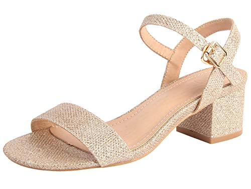 Women's Open Toe Ankle Strap Glitter Low Block Chunky Heels Sandals Dress Pumps Shoes